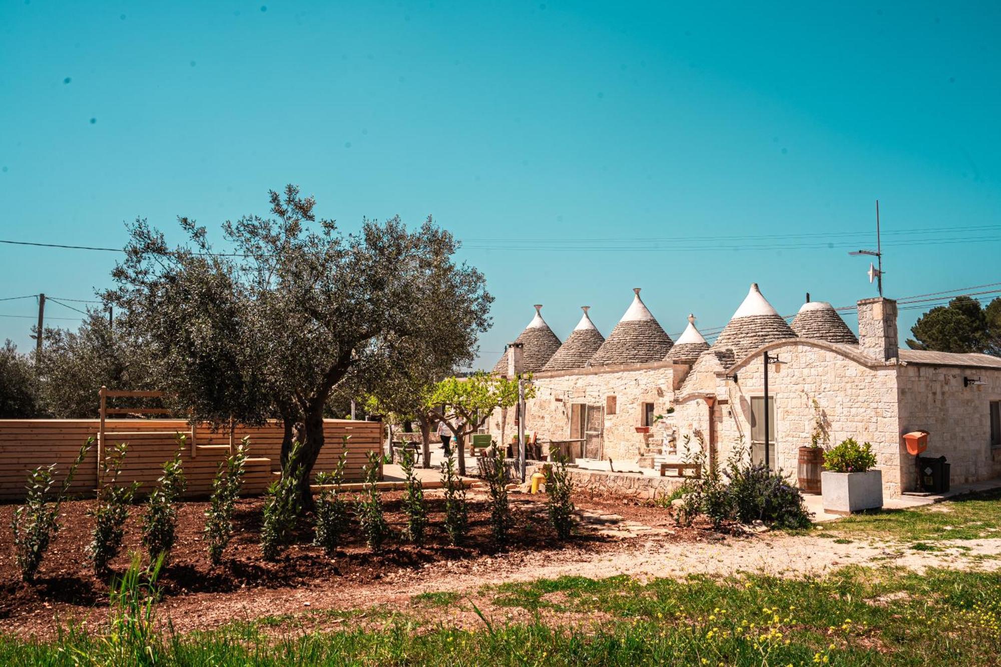 Trulli Beauty Pinnacolo Locorotondo Bagian luar foto